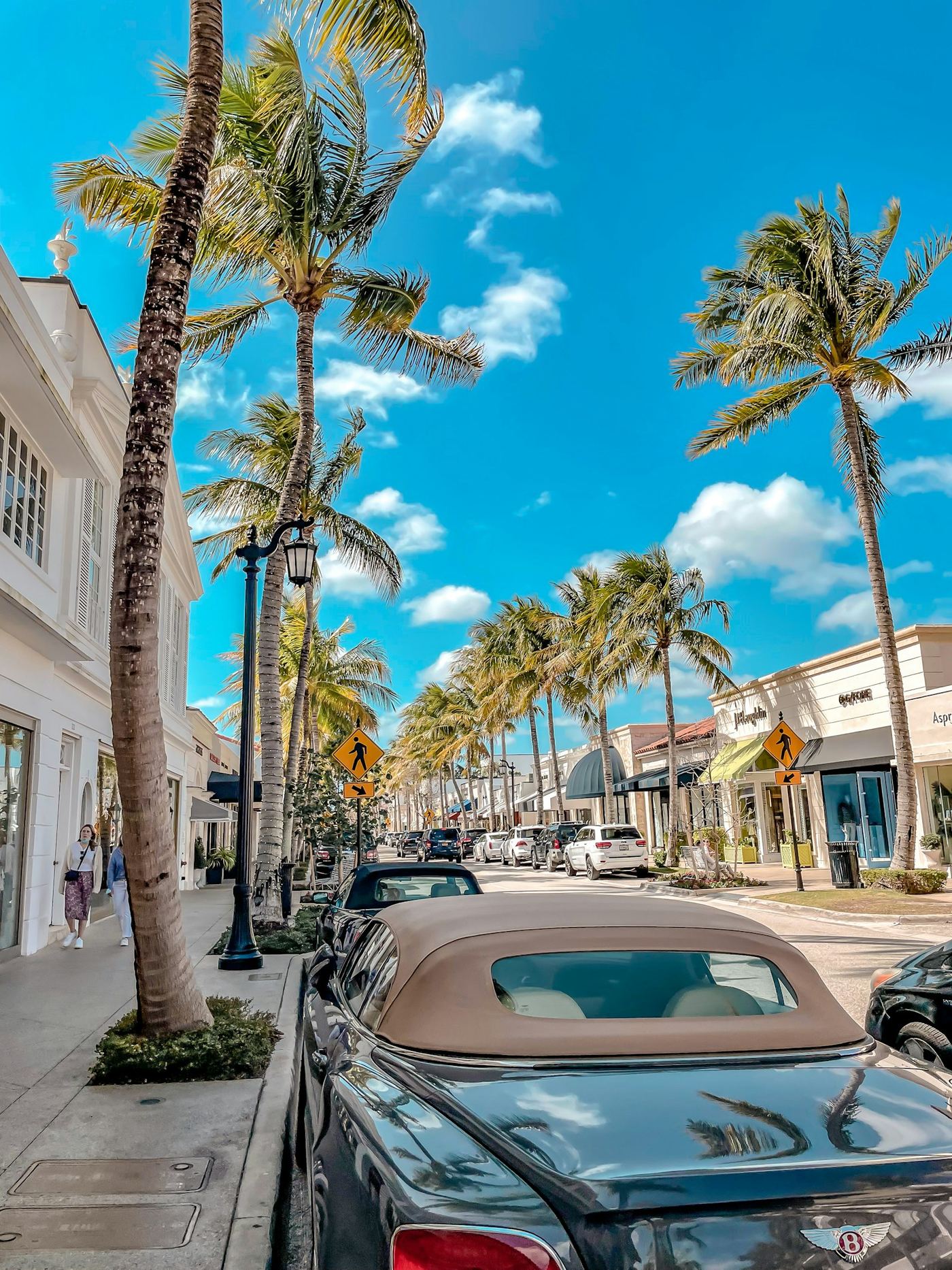 Palm-lined street in Palm Beach County, Florida